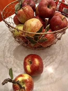 Image of a basket with red apples