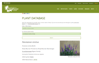 Image of the plant database to find species of interest